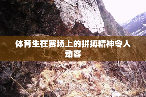 体育生在赛场上的拼搏精神令人动容