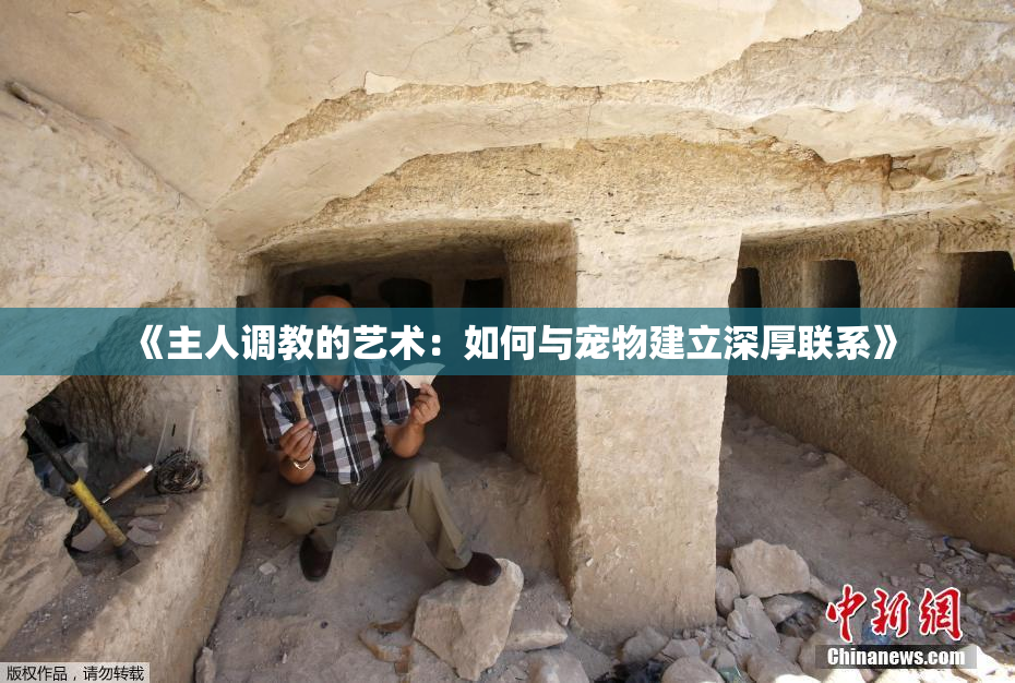 《主人调教的艺术：如何与宠物建立深厚联系》