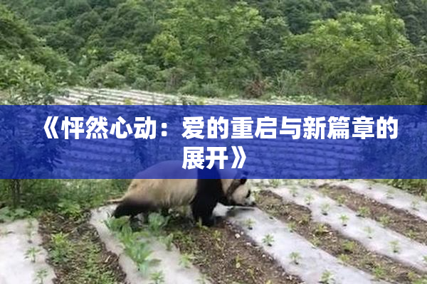 《怦然心动：爱的重启与新篇章的展开》