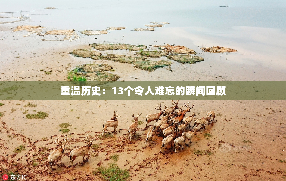 重温历史：13个令人难忘的瞬间回顾
