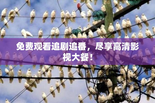 免费观看追剧追番，尽享高清影视大餐！