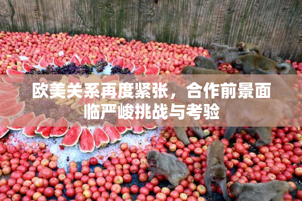 欧美关系再度紧张，合作前景面临严峻挑战与考验