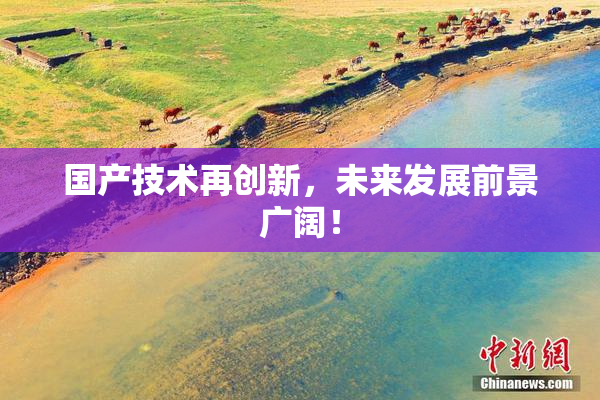 国产技术再创新，未来发展前景广阔！