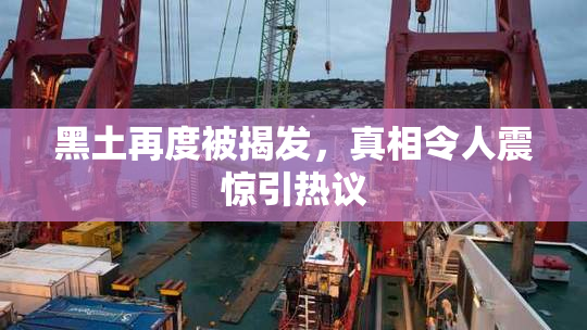 黑土再度被揭发，真相令人震惊引热议