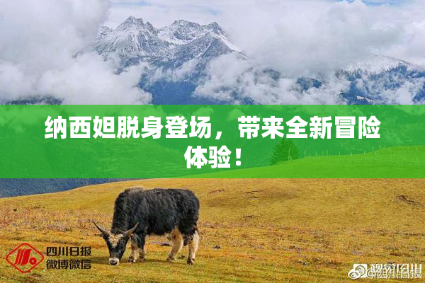 纳西妲脱身登场，带来全新冒险体验！