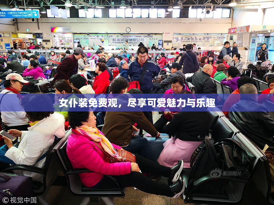 女仆装免费观，尽享可爱魅力与乐趣