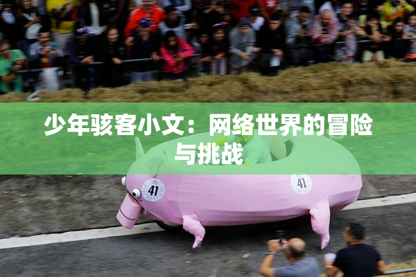 少年骇客小文：网络世界的冒险与挑战
