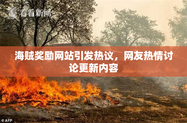 海贼奖励网站引发热议，网友热情讨论更新内容