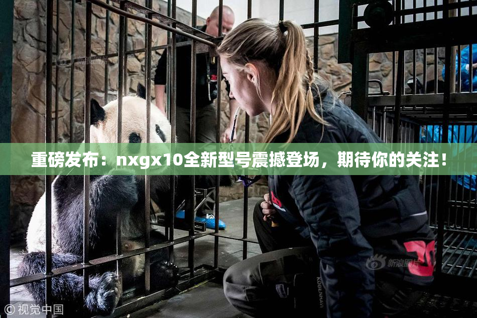重磅发布：nxgx10全新型号震撼登场，期待你的关注！