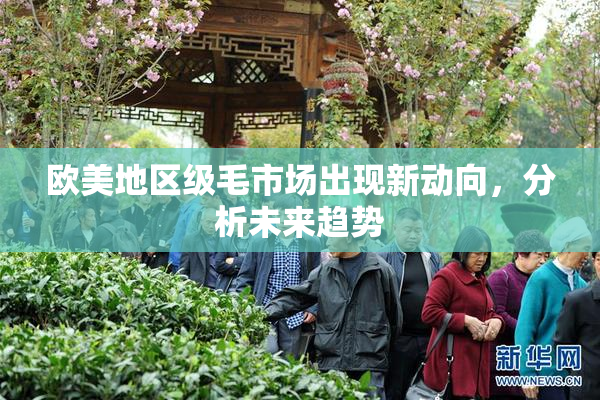 欧美地区级毛市场出现新动向，分析未来趋势