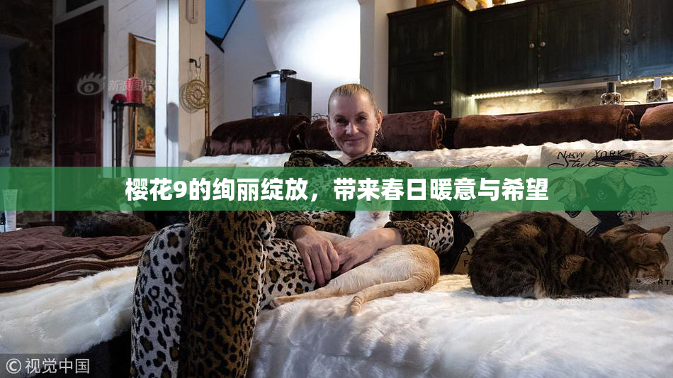 樱花9的绚丽绽放，带来春日暖意与希望