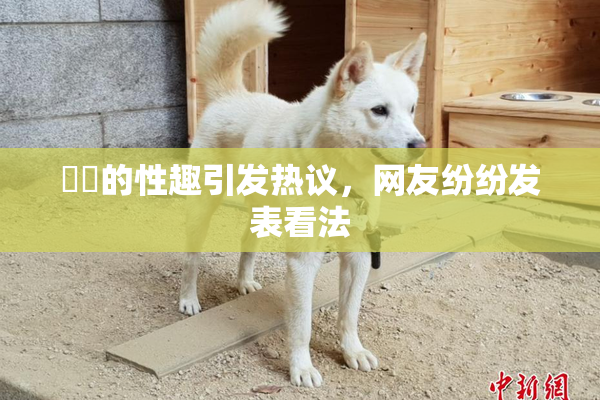 妺妺的性趣引发热议，网友纷纷发表看法
