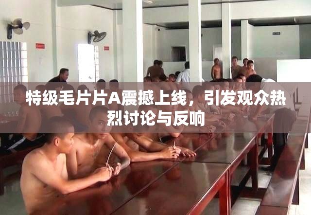 特级毛片片A震撼上线，引发观众热烈讨论与反响