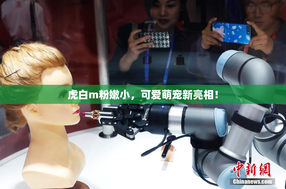 虎白m粉嫩小，可爱萌宠新亮相！