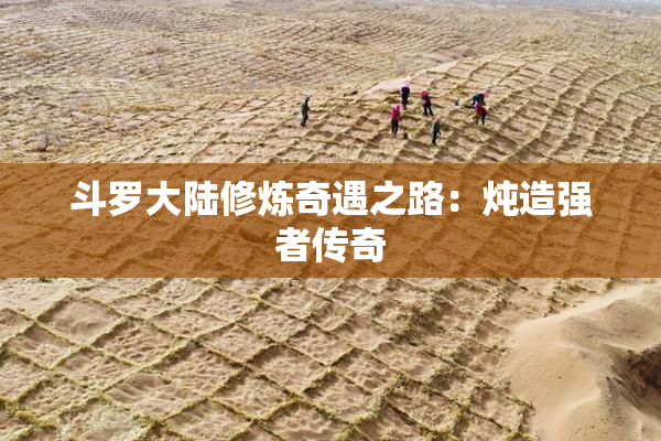 斗罗大陆修炼奇遇之路：炖造强者传奇