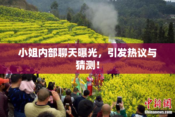 小姐内部聊天曝光，引发热议与猜测！