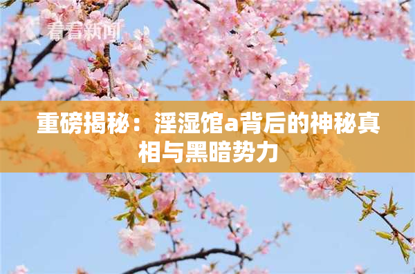 重磅揭秘：淫湿馆a背后的神秘真相与黑暗势力
