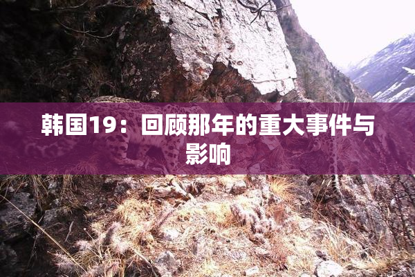 韩国19：回顾那年的重大事件与影响