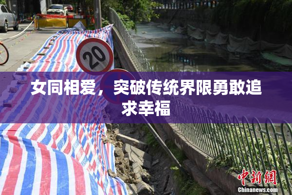 女同相爱，突破传统界限勇敢追求幸福