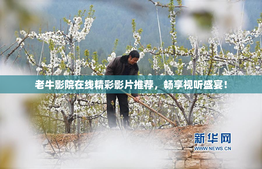 老牛影院在线精彩影片推荐，畅享视听盛宴！