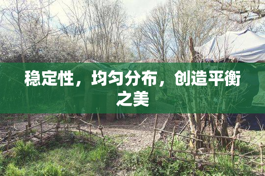 稳定性，均匀分布，创造平衡之美