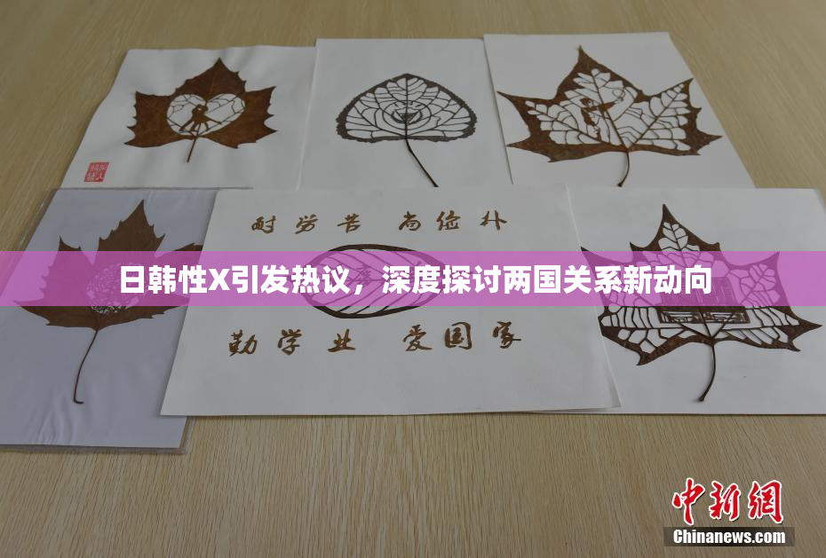 日韩性X引发热议，深度探讨两国关系新动向