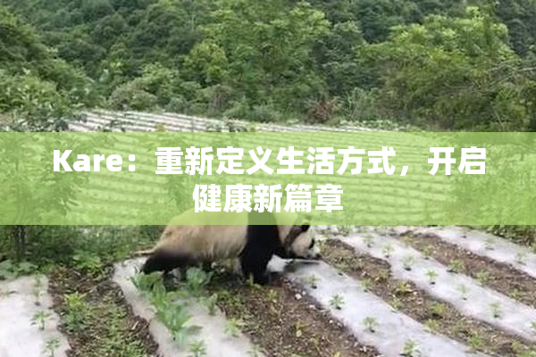 Kare：重新定义生活方式，开启健康新篇章