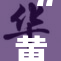 “黄鳝女琪”引发网络热议，背后真相让人震惊
