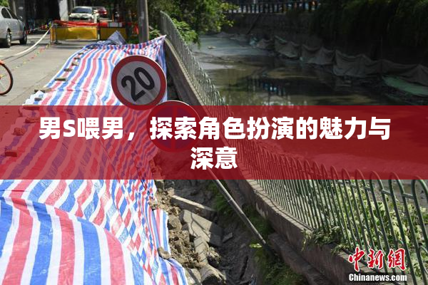 男S喂男，探索角色扮演的魅力与深意