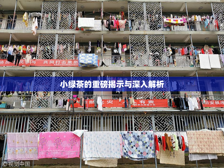 小绿茶的重磅揭示与深入解析