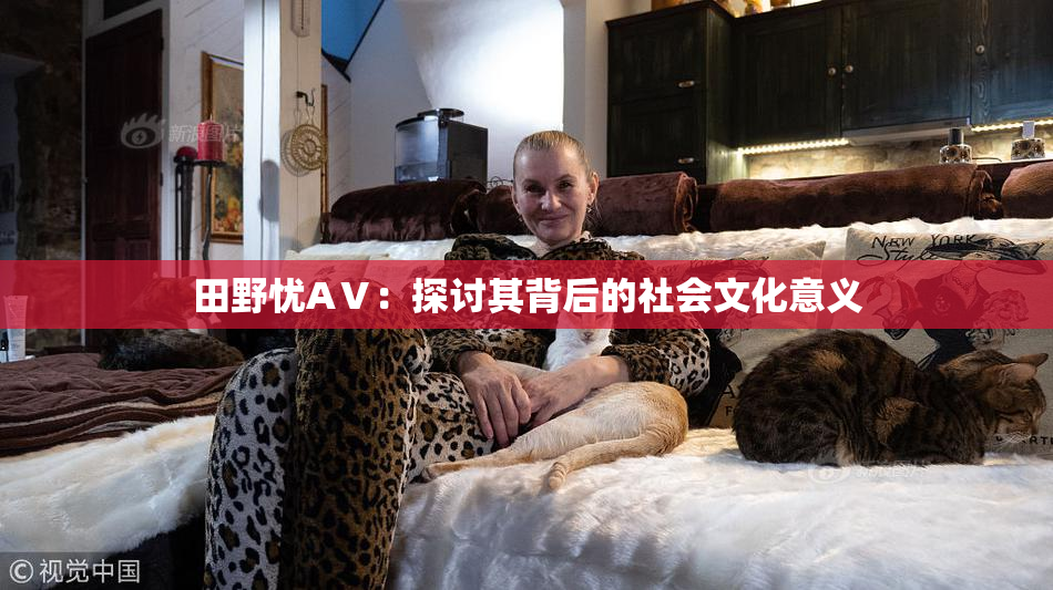 田野忧AⅤ：探讨其背后的社会文化意义