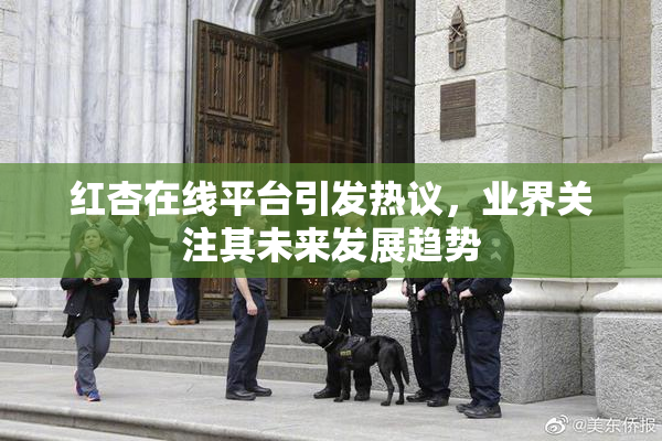 红杏在线平台引发热议，业界关注其未来发展趋势