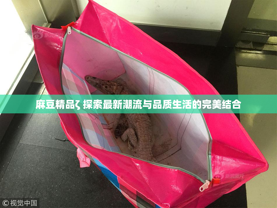 麻豆精品ζ 探索最新潮流与品质生活的完美结合