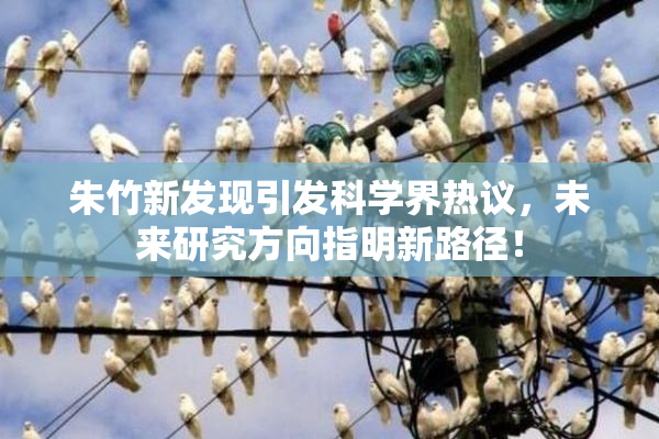 朱竹新发现引发科学界热议，未来研究方向指明新路径！