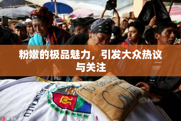 粉嫩的极品魅力，引发大众热议与关注