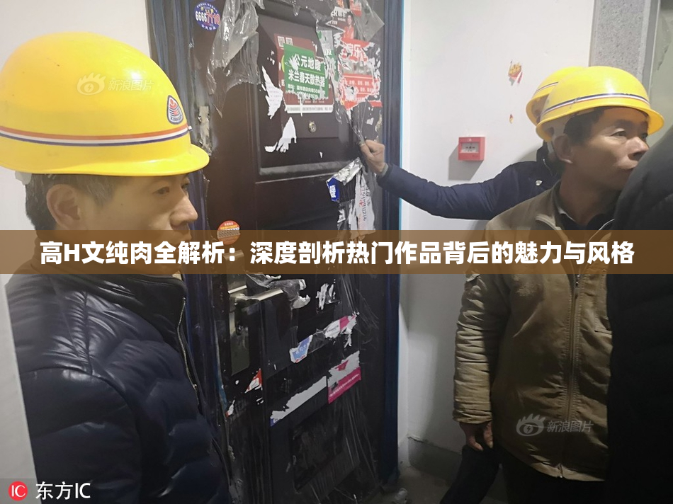 高H文纯肉全解析：深度剖析热门作品背后的魅力与风格