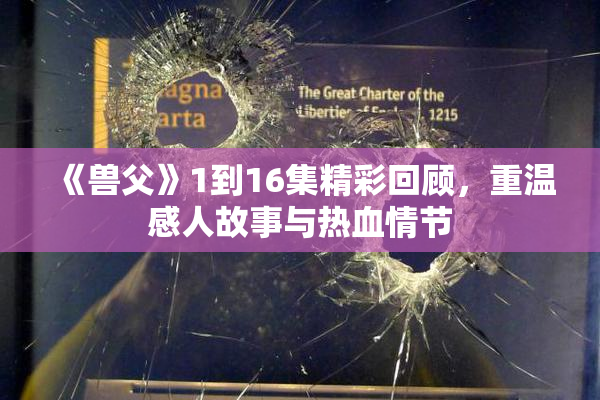《兽父》1到16集精彩回顾，重温感人故事与热血情节