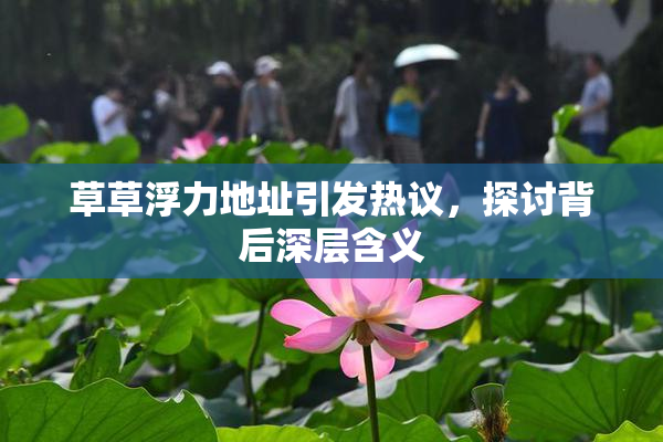 草草浮力地址引发热议，探讨背后深层含义