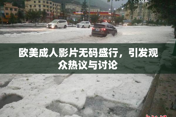 欧美成人影片无码盛行，引发观众热议与讨论