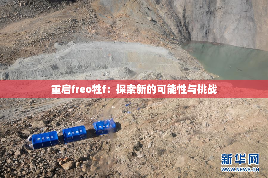 重启freo牲f：探索新的可能性与挑战