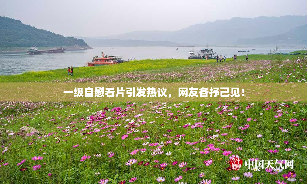 一级自慰看片引发热议，网友各抒己见！
