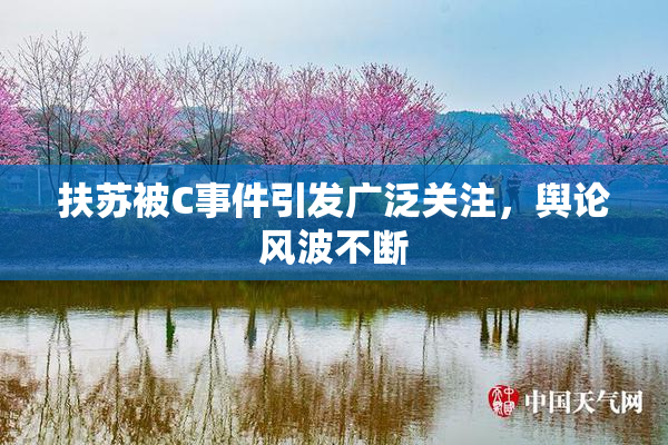 扶苏被C事件引发广泛关注，舆论风波不断