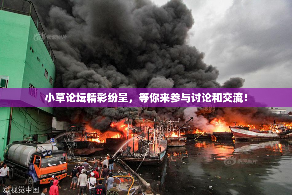 小草论坛精彩纷呈，等你来参与讨论和交流！