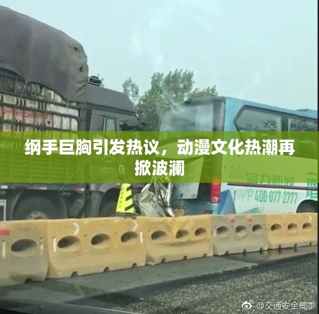 纲手巨胸引发热议，动漫文化热潮再掀波澜