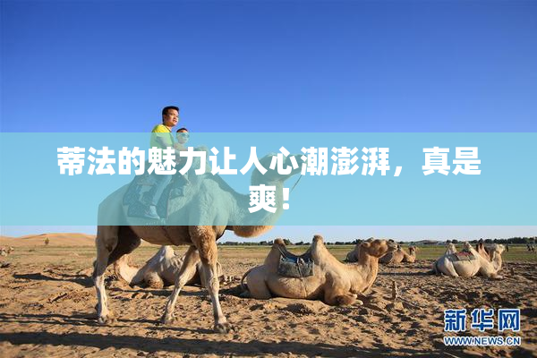 蒂法的魅力让人心潮澎湃，真是爽！