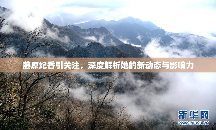 藤原纪香引关注，深度解析她的新动态与影响力