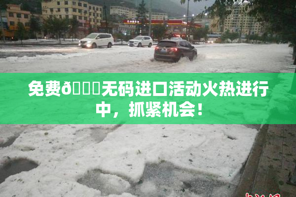 免费🔞无码进口活动火热进行中，抓紧机会！