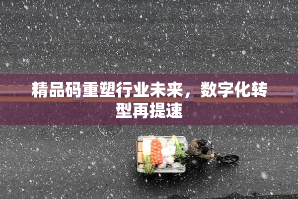 精品码重塑行业未来，数字化转型再提速