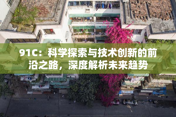 91C：科学探索与技术创新的前沿之路，深度解析未来趋势