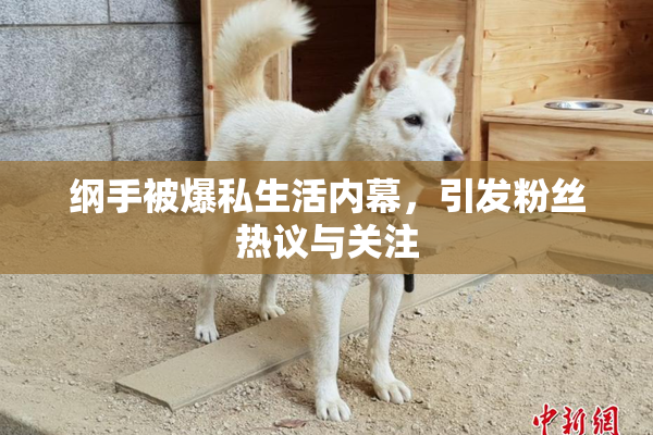 纲手被爆私生活内幕，引发粉丝热议与关注